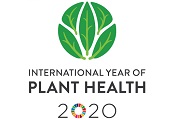 iyph2020-logo